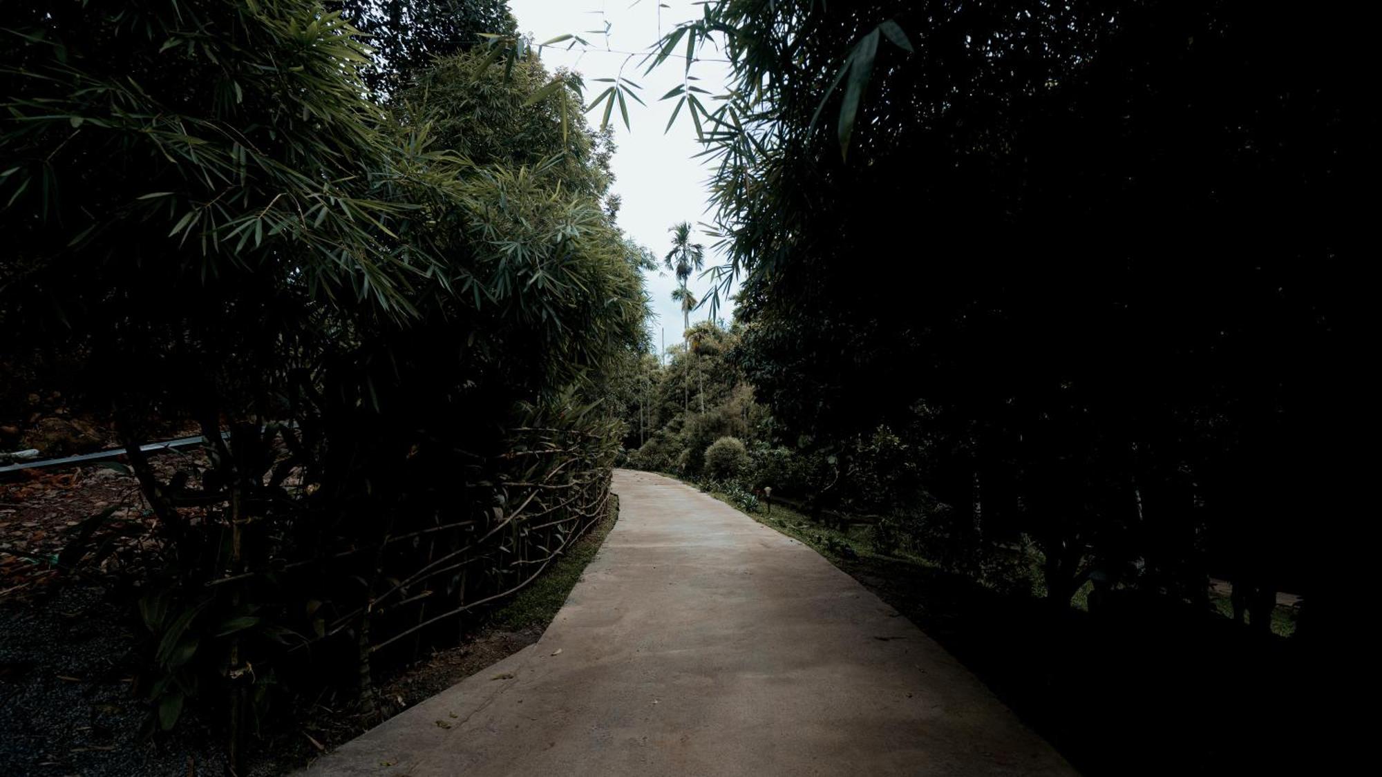 Vythiri Holiday Resort, Wayanad Exteriér fotografie
