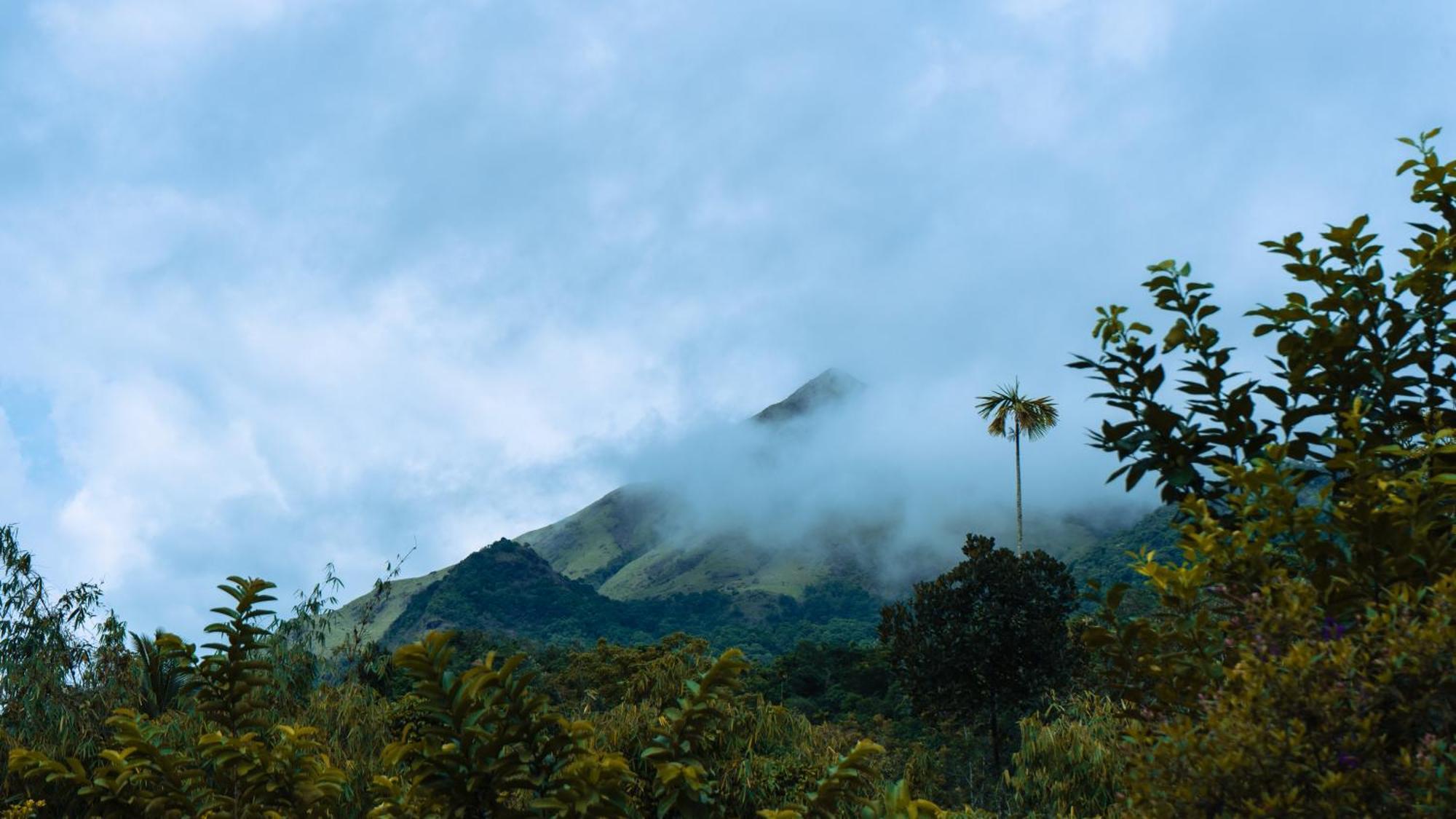 Vythiri Holiday Resort, Wayanad Exteriér fotografie
