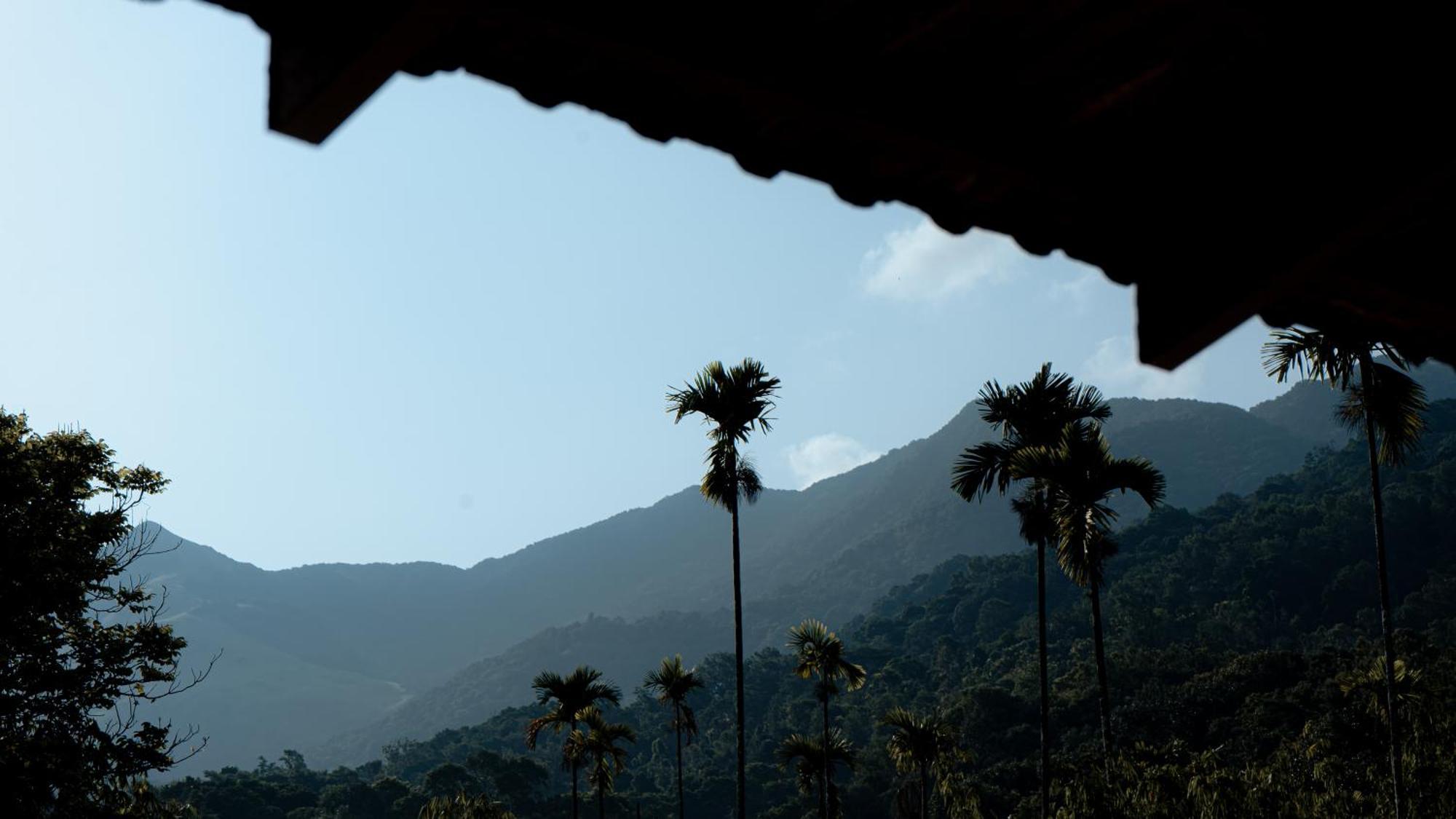 Vythiri Holiday Resort, Wayanad Exteriér fotografie